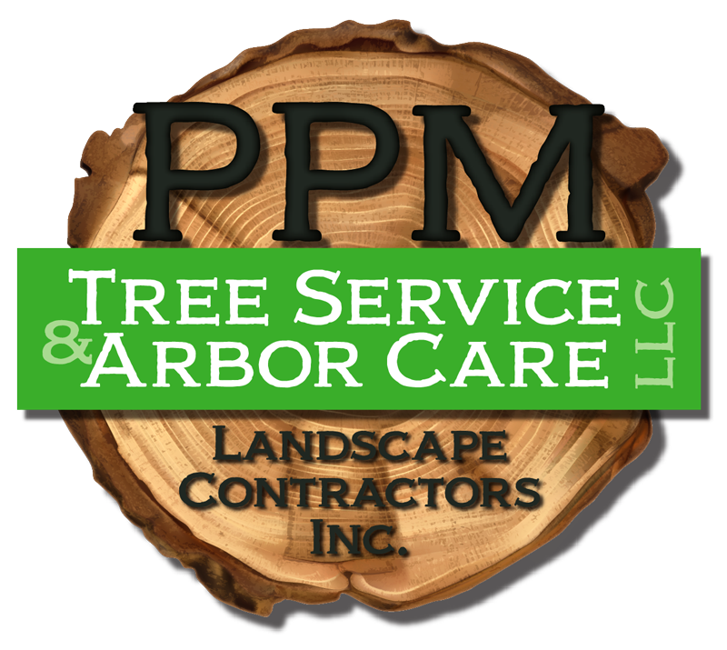 PPM Tree Service & Arbor Care, LLC
