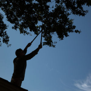 man on a roof trimming tree branches