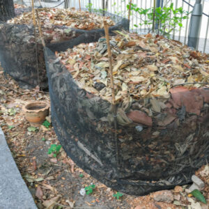 composting leaves