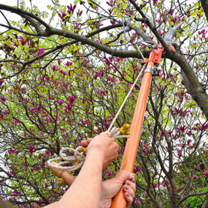 Gilmour tree deals pruner