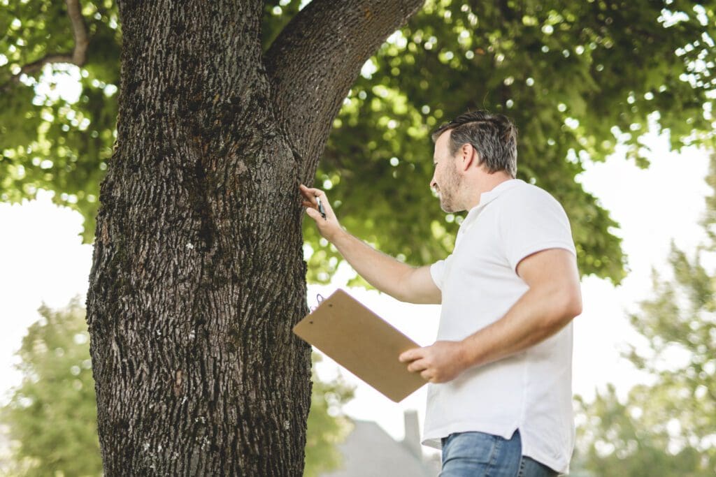 Tree Hazard Risk Management Tree Risk Assessment | Tree Hazard Assessment by PPM Tree Service ...