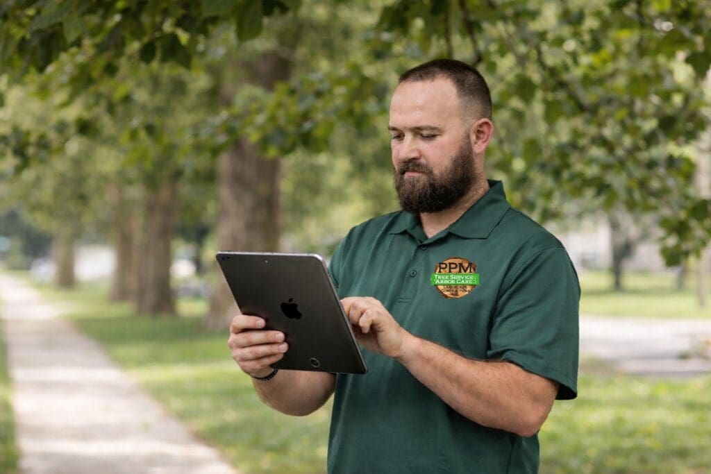 Steve Saylor estimating