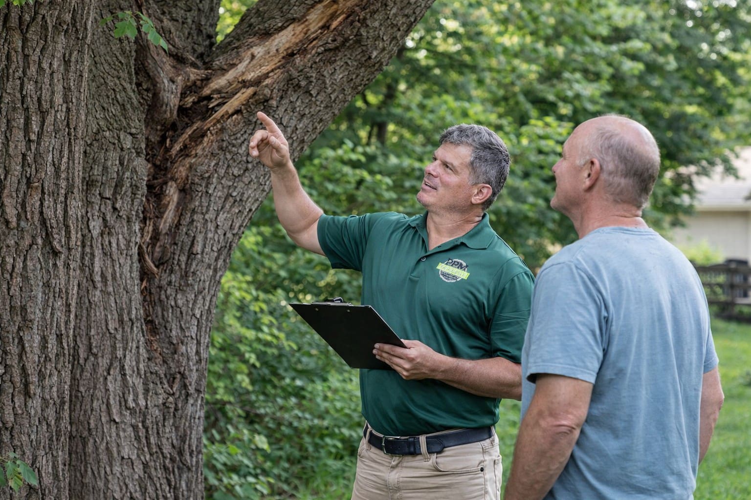 Tree Evaluation Picture