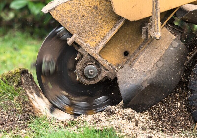 Stump grinder in action on grass