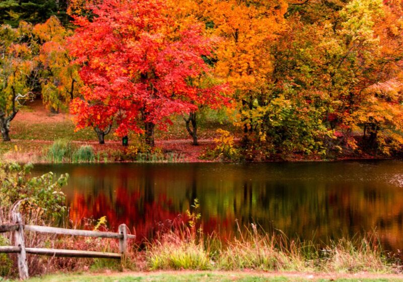 Scenic autumn landscape with colorful trees
